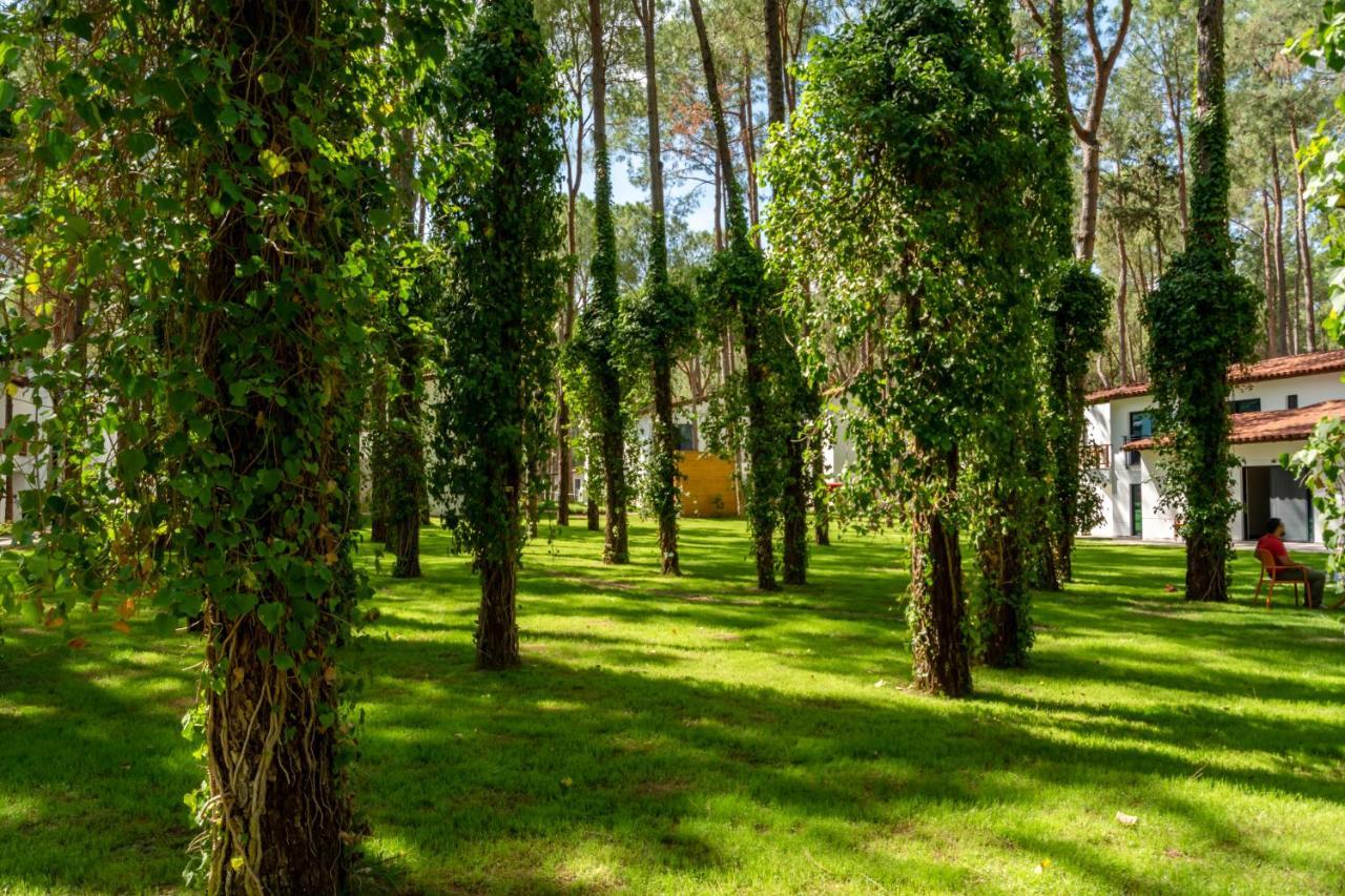 Baia Salima Kemer Goynuk  Exterior foto